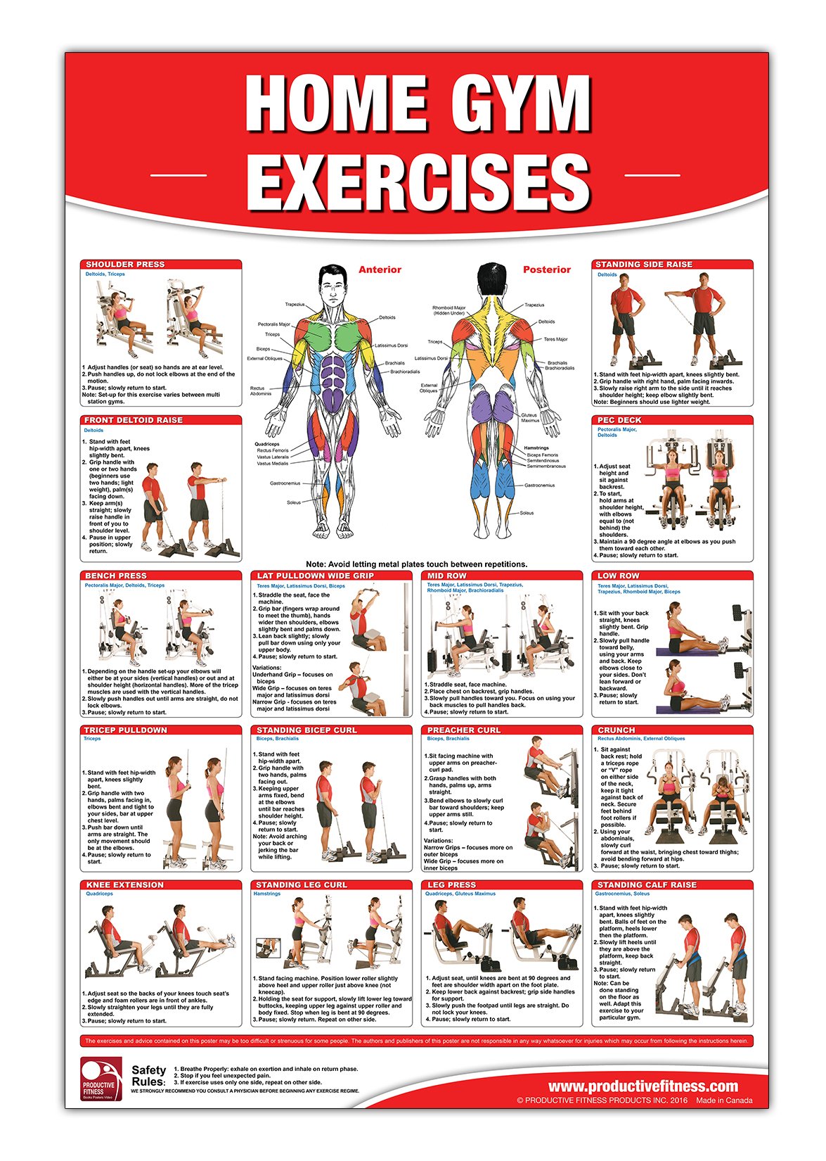 Home Gym Exercises Laminated Poster/Chart: Home Gym Chart, Home Gym ...